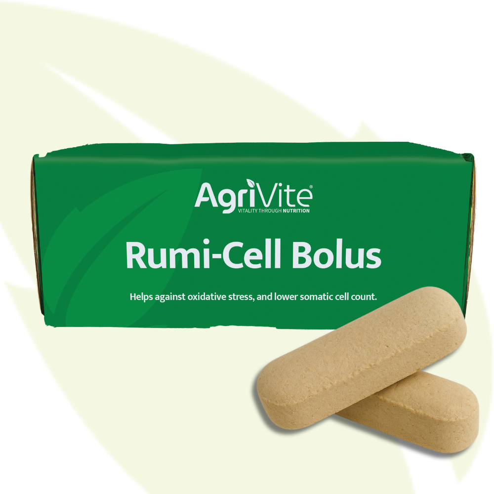 Agrivite Rumi-Cell Bolus