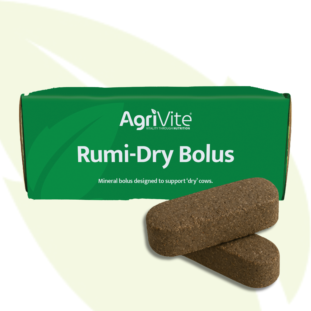 Agrivite Rumi-Dry Bolus