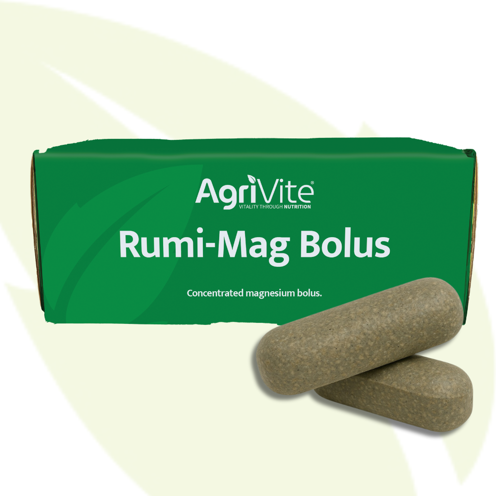 Agrivite Rumi-Mag Bolus