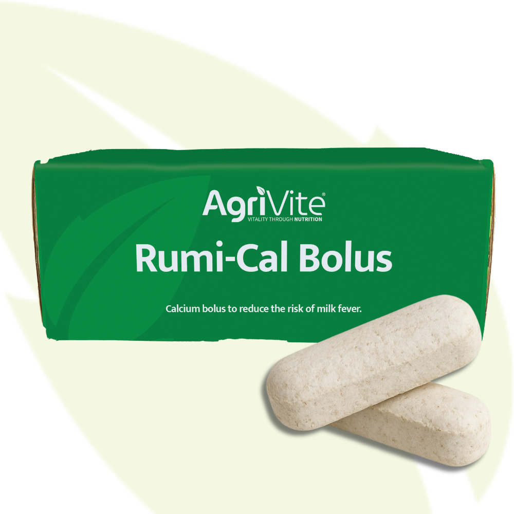 Agrivite Rumi-Cal Bolus